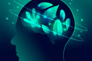 psikoterapide metafor eğitimi