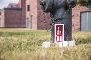 gratisography 318H free stock photo