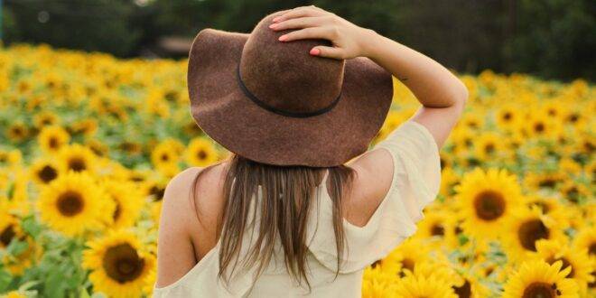 pexels photo 906002 1